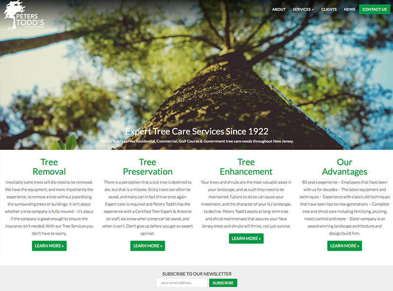Peters Todd's New Website added to Our Website Portfolio