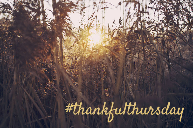 thankfulthursday